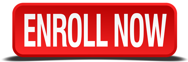 Facebook Marketing Training (Live)